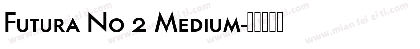 Futura No 2 Medium字体转换